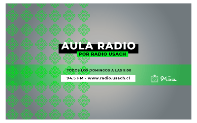 Música chilena en el aire: Aula Records estrena programa en Radio Usach