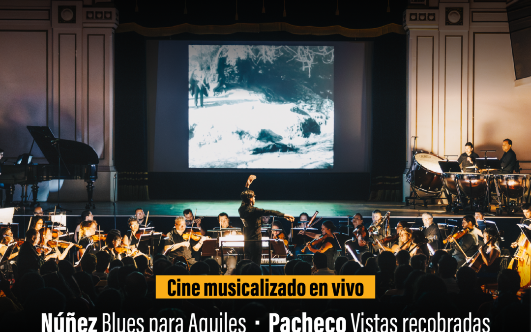 Orquesta Usach en La Granja