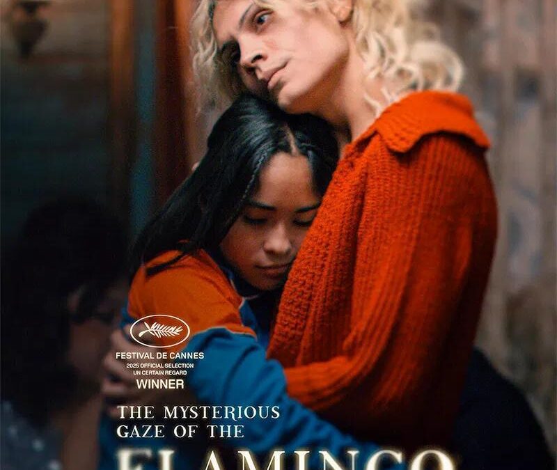 Atlas Cinematográfico de Chile ESTRENO “La misteriosa mirada del flamenco” (2025)